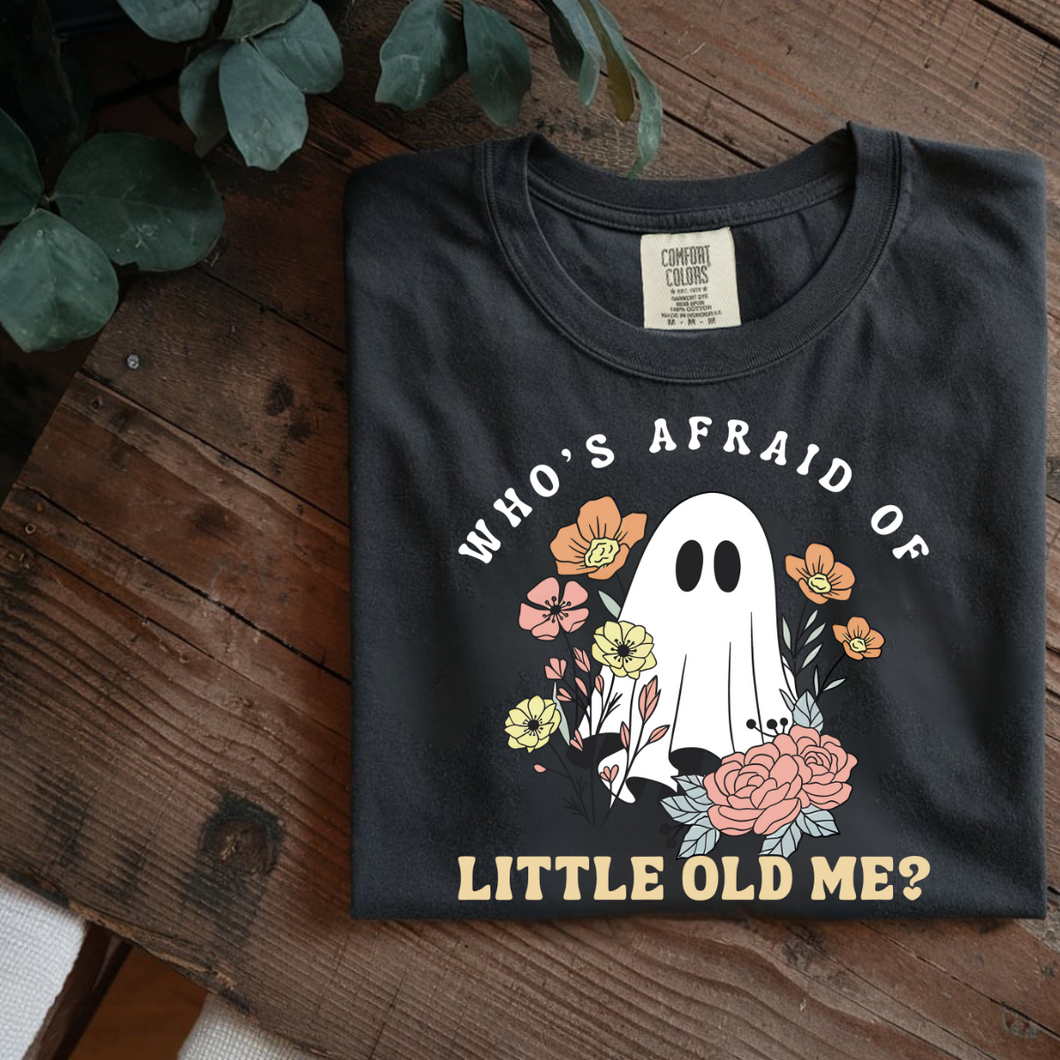 AFRAID GHOST