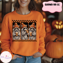 Load image into Gallery viewer, Just A Cozy Raccoon, Fall Vibes
