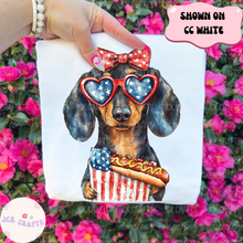 Load image into Gallery viewer, Patriotic Dog With Hot Dog
