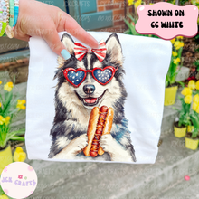 Load image into Gallery viewer, Patriotic Dog With Hot Dog
