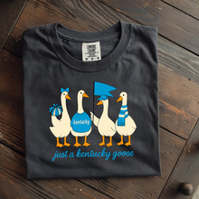 Load image into Gallery viewer, BLUE GOOSE

