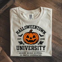 Load image into Gallery viewer, H-TOWN UNI
