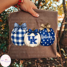 Load image into Gallery viewer, UK Fall Pumpkin | Kentucky
