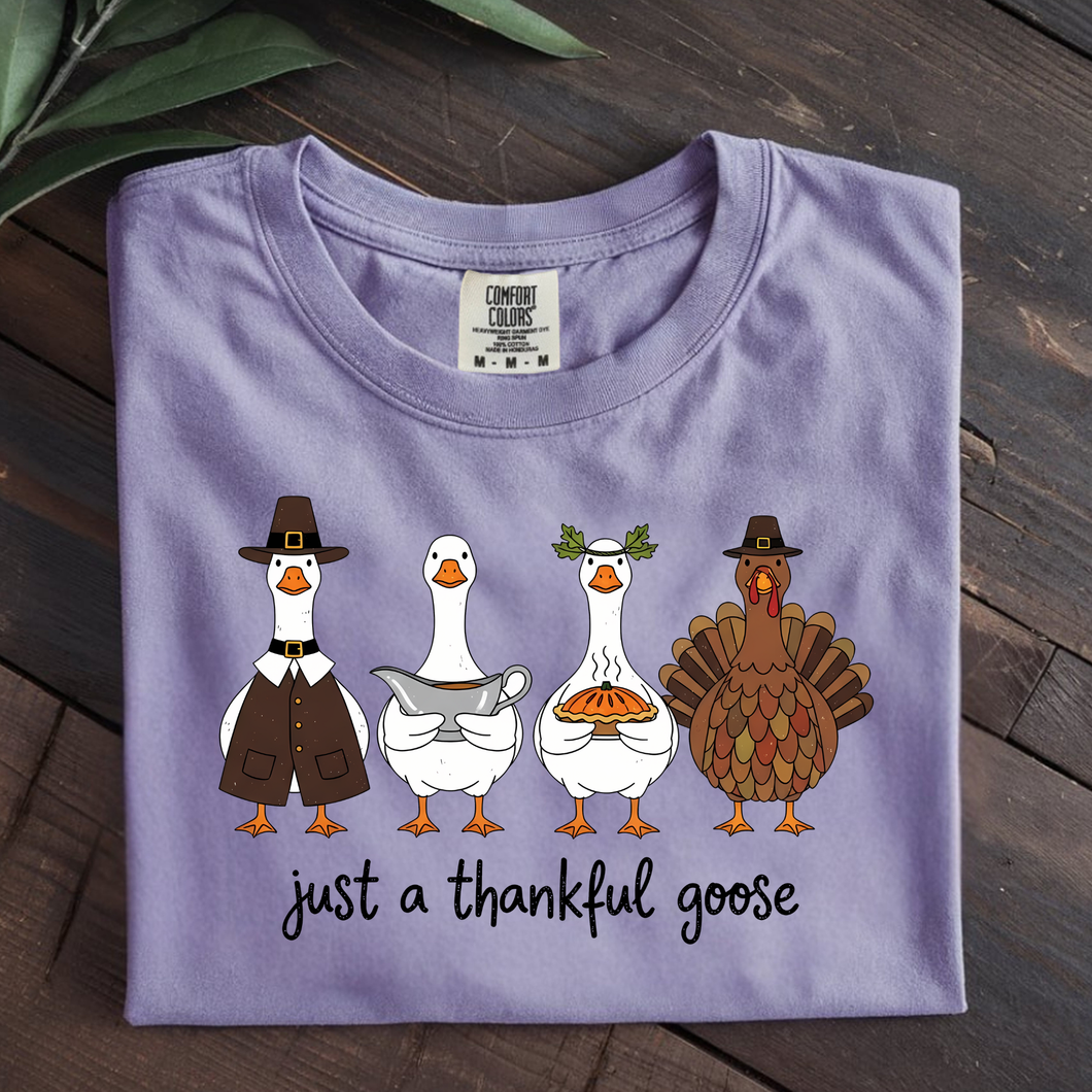 THANKFUL GOOSE